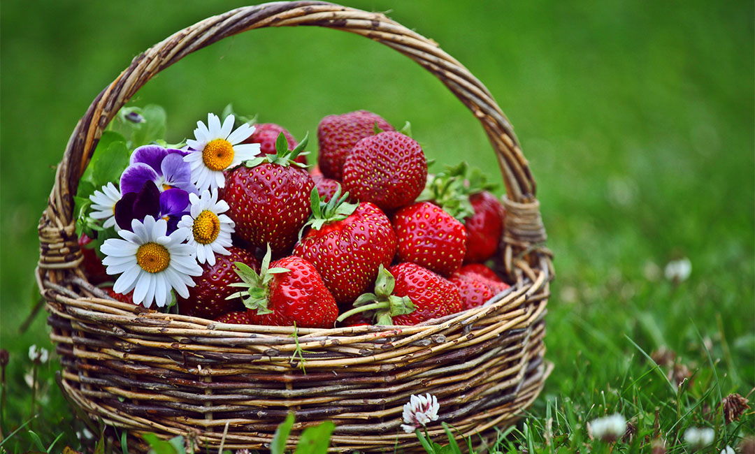 晋中点呀点水果电商APP开发案例